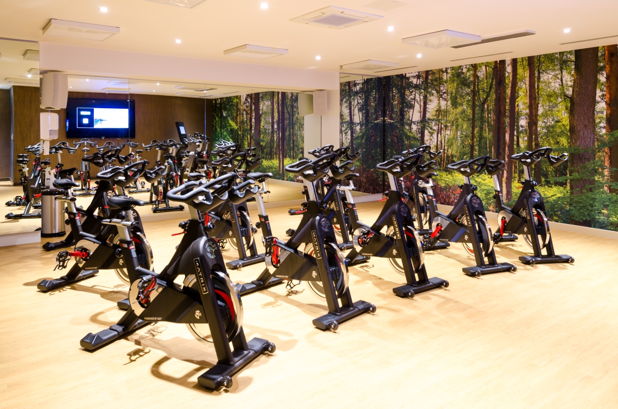 Stationary bikes arranged in a workout room