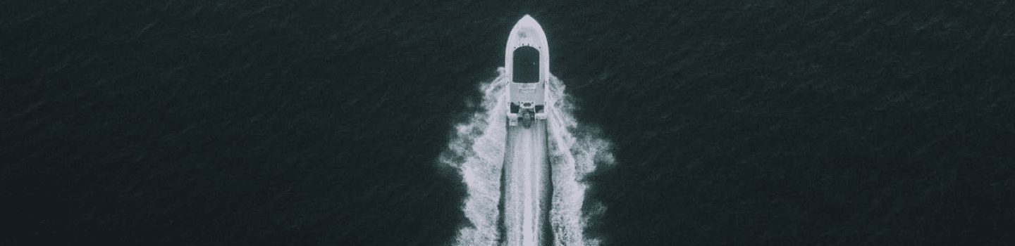 section image 1